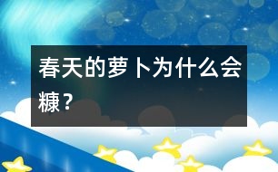 春天的蘿卜為什么會(huì)糠？