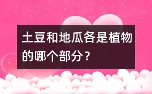 土豆和地瓜各是植物的哪個部分？