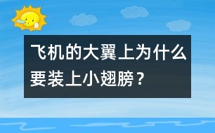 飛機(jī)的大翼上為什么要裝上小翅膀？